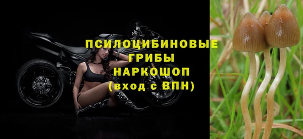 соль курить ск Алексин