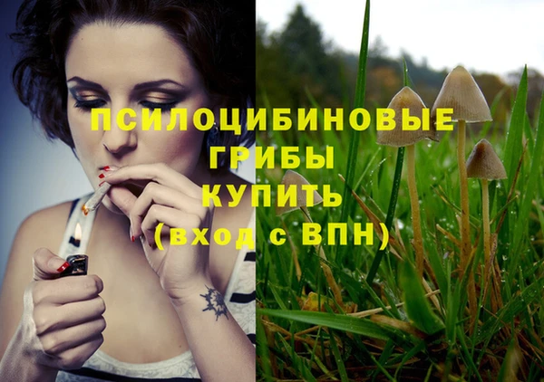 хмурый Абинск