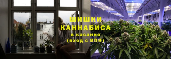 тгк Алзамай