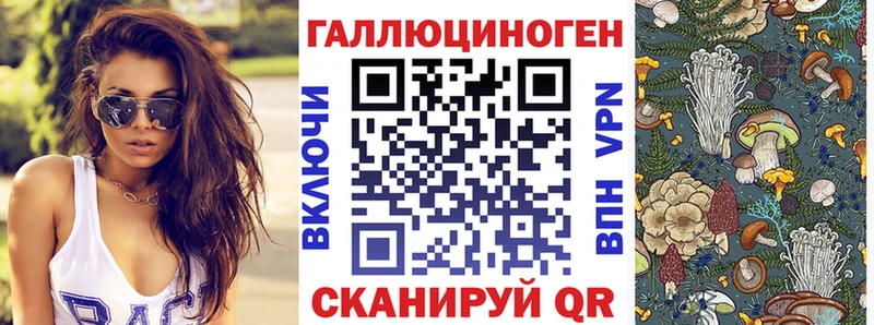 Псилоцибиновые грибы Psilocybe  Кашин 