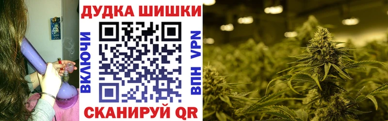 как найти   Кашин  МАРИХУАНА планчик 